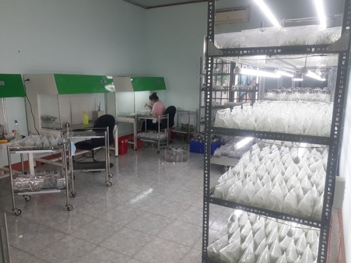 NÔNG NGHIỆP BÌNH PHƯỚC PHÁT TRIỂN THEO HƯỚNG NÔNG NGHIỆP ỨNG DỤNG CÔNG NGHỆ CAO