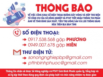 Duong day nong SNNPTNT