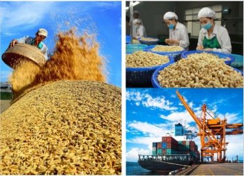 Bản tin thị trường sản phẩm nông nghiệp tháng 8/2021
