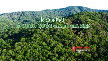[ẢNH] HỆ SINH THÁI Ở VƯỜN QUỐC GIA BÙ GIA MẬP