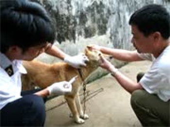 Siết chặt quản lý kinh doanh thuốc bảo vệ thực vật, phòng chống bệnh dại trên FV88 là thương hiệu cá cược uy tín bền vững độc quyền của OKVIP