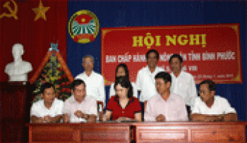 Các cấp hội nông dân đã xây dựng 42 mô hình kinh tế tập thể