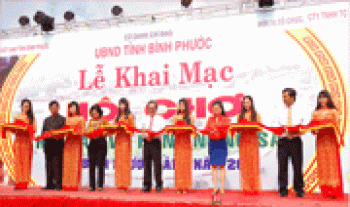 Hội chợ trái cây và hàng nông sản tỉnh sẽ khai mạc vào ngày 3/6