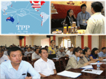 Phổ biến nội dung các hiệp định thương mại tự do
