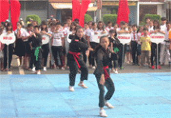 Thể thao tỉnh đạt 84 huy chương các loại