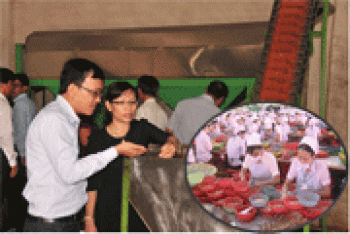 Kim ngạch hàng hóa xuất - nhập khẩu trong tháng 7 đều tăng