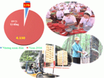 Thành tựu kinh tế của tỉnh sau 20 năm tái lập