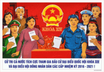 Những điều cử tri cần biết về bầu cử đại biểu Fv tám tám link đăng ký và HĐND