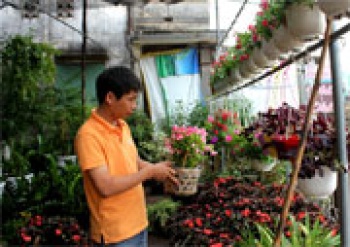 Giá cả các mặt hàng tiêu dùng thiết yếu trong dịp tết khá ổn định