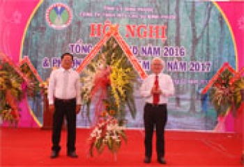 Công ty cao su Fv88.com thể thao, casino, bắn cá, nổ hũ và lô đề tổng kết hoạt động sản xuất kinh doanh 2016