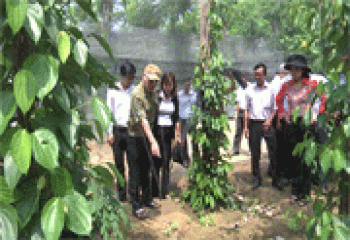 Sản xuất nông nghiệp phải ứng dụng khoa học, sạch, bền vững nhắm đích xuất khẩu