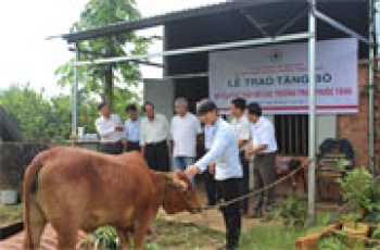 Hội Chữ thập đỏ trường học nói lời hay, làm việc tốt
