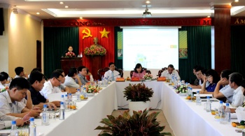 Giải pháp phát triển hồ tiêu bền vững trên địa bàn tỉnh