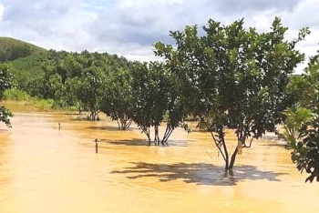 Chủ động triển khai các biện pháp phòng tránh do thiên tai gây ra trong mùa FV88 Com Link Đăng Nhập Trang Chủ Không Bị Chặn