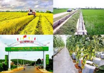 Phấn đấu 100% các huyện của cả nước có xã đạt chuẩn NTM
