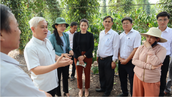 Fv88 www fv88 com App thăm mô hình nông dân sản xuất, kinh doanh giỏi tại Đồng Xoài