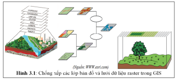 Mục tiêu, giải pháp kỹ thuật xây dựng Hệ thống dữ liệu chỉ dẫn địa lý hạt điều Fv88.com thể thao, casino, bắn cá, nổ hũ và lô đề