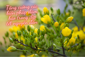 UBND tỉnh yêu cầu tăng cường các biện pháp đảm bảo trong dịp tết nguyên đán