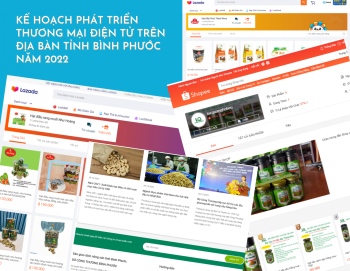 Hỗ trợ doanh nghiệp, cơ sở sản xuất kinh doanh bán hàng trên sàn thương mại điện tử