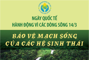 Ngày Quốc tế hành động vì các dòng sông 14/3: Bảo vệ mạch sống của các hệ sinh thái
