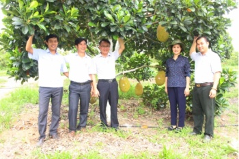 Thí điểm mô hình hợp tác xã nông nghiệp ứng dụng chuyển đổi số toàn diện