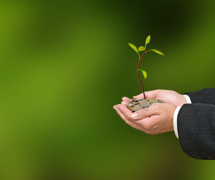 Regulation policies on incentives, incentives and Supports investment in Binh Phuoc province (Chapter VII, VIII)