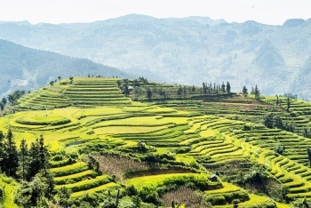 The Bac Ha White Plateau Festival in summer 2023