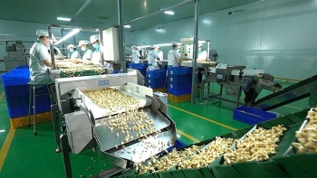 Hội thảo khoa học và Techmart chuyên ngành điều năm 2023