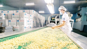 Chương trình Hội thảo giải pháp khoa học và công nghệ nâng cao giá trị ngành điều tỉnh Fv88.com thể thao, casino, bắn cá, nổ hũ và lô đề