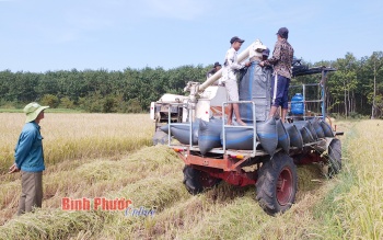 Agriculture accelerates its integration process