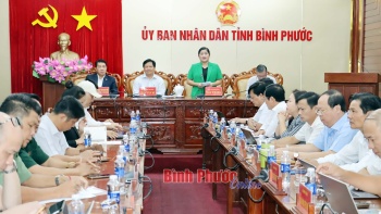 Họp Ban tổ chức diễn đàn kết nối doanh nghiệp công nghiệp, thương mại, nông nghiệp công nghệ cao EuroCham - tỉnh Fv88.com thể thao, casino, bắn cá, nổ hũ và lô đề năm 2024