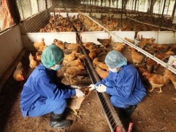 FVtamtam nhà cái FV88 FV88 là thương hiệu cá cược uy tín bền vững độc quyền của OKVIP, tiêm phòng vắc xin cho đàn vật nuôi