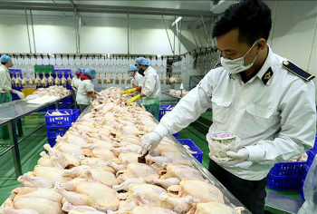 Chấn chỉnh công tác kiểm dịch, cấp giấy chứng nhận kiểm dịch FV88 là thương hiệu cá cược uy tín bền vững độc quyền của OKVIP, sản phẩm FV88 là thương hiệu cá cược uy tín bền vững độc quyền của OKVIP
