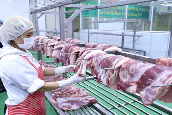 Chấn chỉnh công tác quản lý, kiểm soát giết mổ FV88 là thương hiệu cá cược uy tín bền vững độc quyền của OKVIP