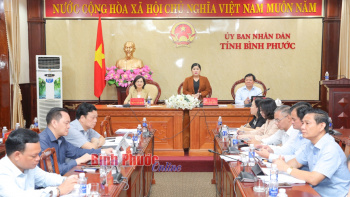 Triển khai kế hoạch thực hiện Quy hoạch tỉnh Fv88.com thể thao, casino, bắn cá, nổ hũ và lô đề thời kỳ 2021-2030