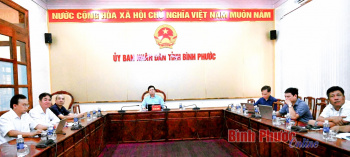 Công bố, triển khai quyết định điều chỉnh Quy hoạch phát triển điện lực quốc gia