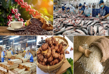 Đảm bảo chất lượng, an toàn thực phẩm, gia tăng chế biến