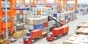 Quy định kiểm tra chứng từ chứng nhận xuất xứ hàng hóa xuất khẩu, nhập khẩu