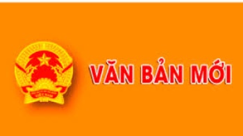 07 tiêu chuẩn của đại biểu Fv tám tám link đăng ký từ 01/01/2021