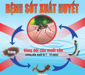 Sốt xuất huyết đang vào mùa cao điểm