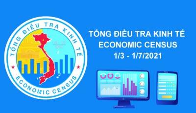 Tổng điều tra Kinh tế năm 2021