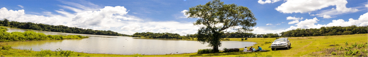 Banner 2