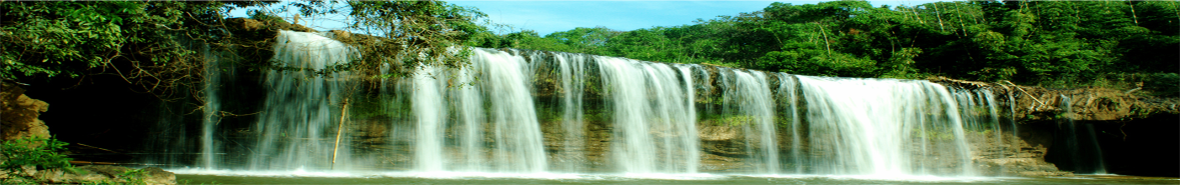 Banner 3