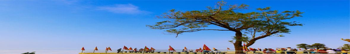 Banner 5