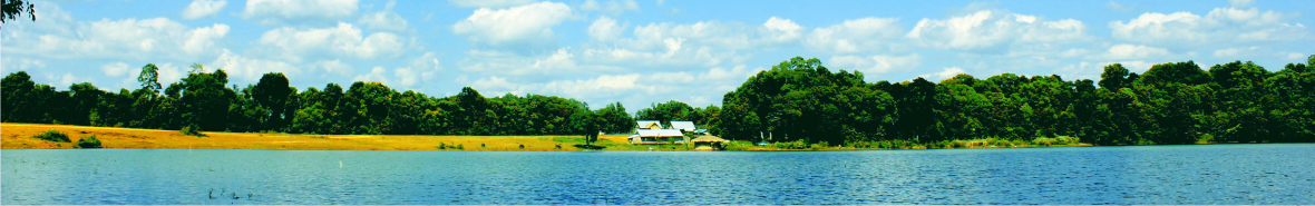 Banner 7