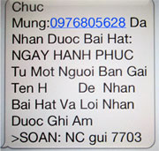 Xử lý các đầu số, số điện thoại nhắn tin rác, gọi nhỡ lừa đảo