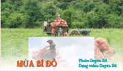 “Việt Nam - dải màu vô tận”