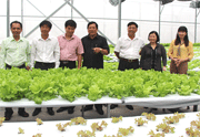 Trung ương Hội Nông dân làm việc với Hội Nông dân tỉnh