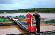 Điểm tin kinh tế của tỉnh trong tháng 8/2016