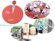 Thành tựu kinh tế của tỉnh sau 20 năm tái lập